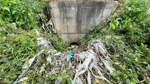 San Lázaro Aliviadoiro (2)