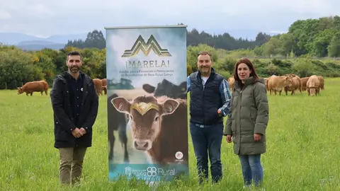 Programa de ayudas Marela de la Vicepresidencia de la Diputación