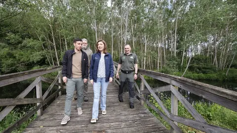 20250607 AVMGuntin 4