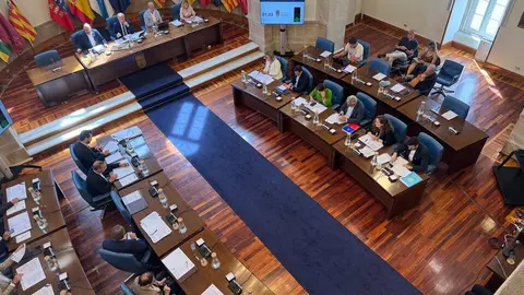 FOTO GPP pleno xuño 2025