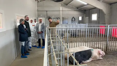 FOTO GPP visita explotación porco celta Teijeiro (1).JPG