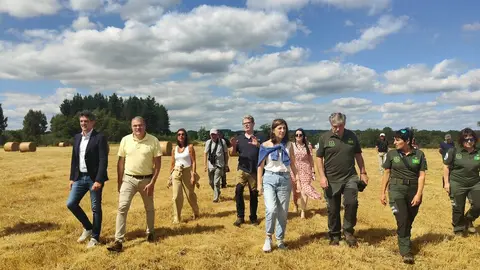 20250721 AVMSoltaMazaricoRealCastroDeRei