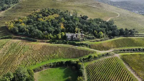 Imagen de WhatsApp 2025-08-29 a las 12.03.39_aae481bc