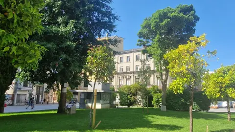 Árbore da Vida en Santo Domingo