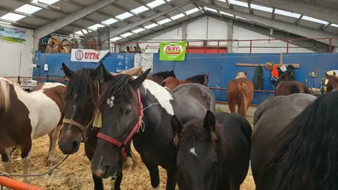 NOTICIAS AQUI DIARIO (1200 x 675 px) (2)