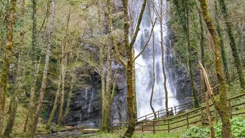 Seimiera de Vilagocende. Foto: Rita Martínez Farrapeira