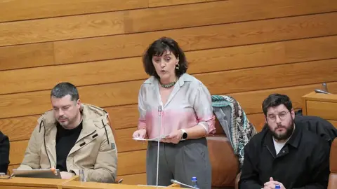 Montse Valcárcel, durante una intervención en el Parlamento