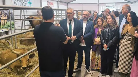 WhatsApp Image 2025-10-04 at 12.27.43