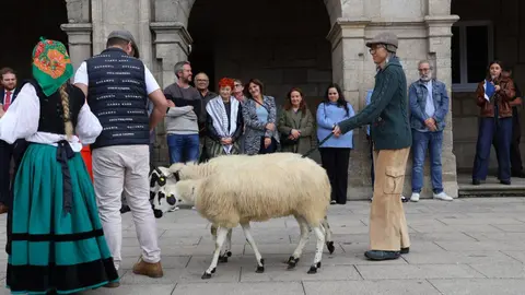 NOTICIAS AQUI DIARIO (1200 x 675 px) - 2025-10-05T161249.635