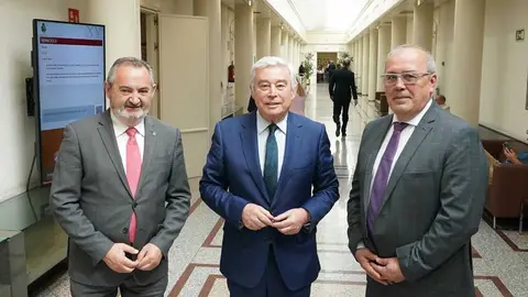 Senadores PP Lugo - Balseiro, Barreiro e Serrano