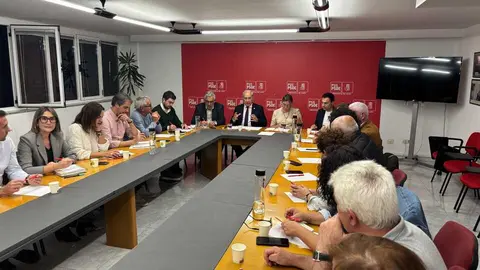 081025 Executiva Provincial PSdeG Lugo