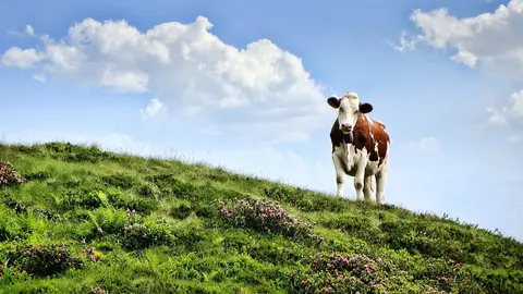 NOTICIAS AQUI DIARIO (1200 x 675 px) - 2025-10-11T122922.115