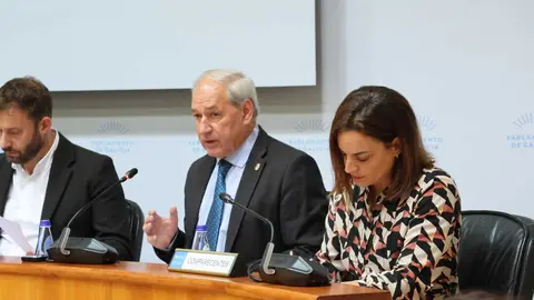 Tomé, en la comparecencia ante la Comisión del Parlamento para presentar los Orzamentos 2026