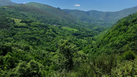 4609scr_2f213389d6ec600