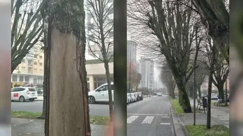 NOTICIAS AQUI DIARIO (1200 x 675 px) (47)