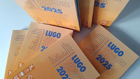 El informe anual 2025 de la CEL