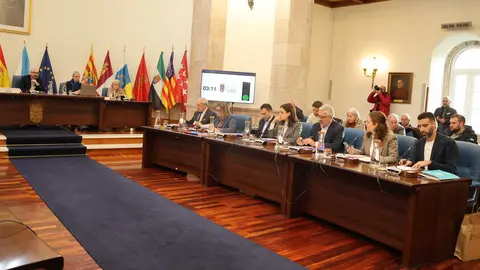 301225 Pleno Ordinario Decembro