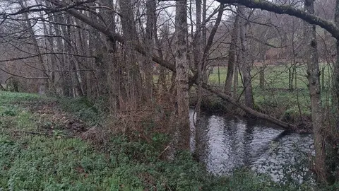 Conservaci&oacute;n de r&iacute;os de la provincia a cargo de la CHMS
