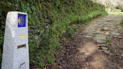 Un tramo del Cami&ntilde;o de Inverno de Chantada