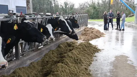 300126 Servizos Agricolas Castedo 1