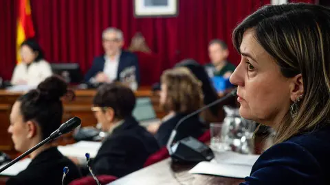 260206_Mar&iacute;a Reigosa, concejala independiente en el Concello de Lugo.
PRADERO