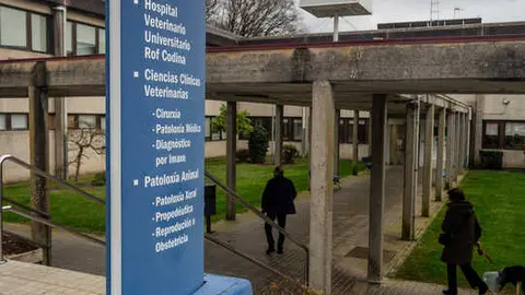 20260212_USC, Campus Lugo, edificio Rof Codina
PRADERO