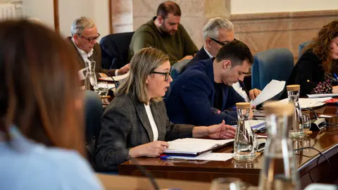 24022026_Pleno ordinario de la Diputaci&oacute;n de Lugo.
PRADERO