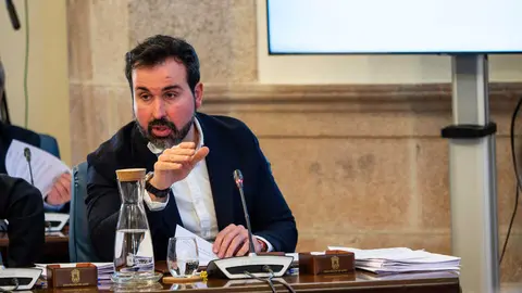 24022026_Pleno ordinario de la Diputaci&oacute;n de Lugo.
PRADERO