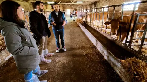 Programa Marela, de la Vicepresidencia