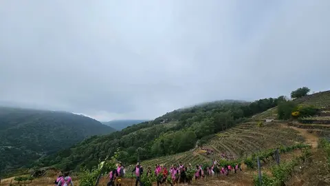 Andaina solidaria de Chantada contra o Cancro