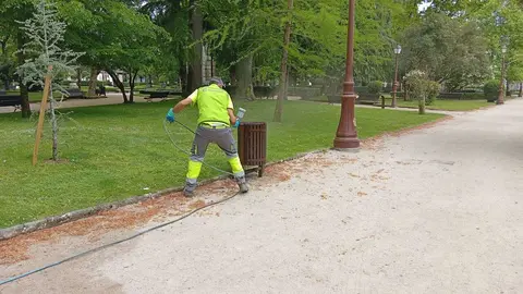 042826_foto2_transicion_ecoloxica_continua_os_traballos_de_conservacion_e_posta_en_valor_no_parque_rosalia_de_castro