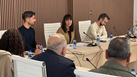 Marta Rouco, durante el pleno extraordinario de esta ma&ntilde;ana