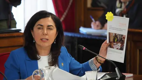 Elena Candia explic&oacute; los motivos para llevar a cabo la moci&oacute;n de censura. Pradero