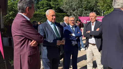 Cesuga Sober