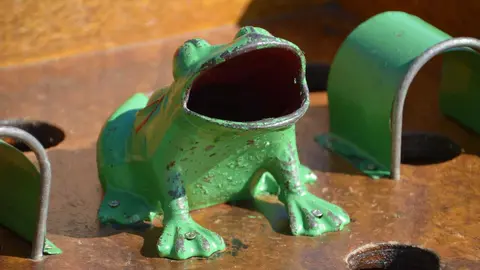 Juego de la rana, xogo da ra