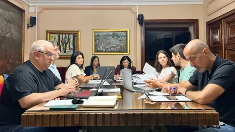 Comit&eacute; de Seguridade e Sa&uacute;de de Lugo
