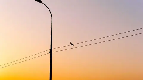 Farola