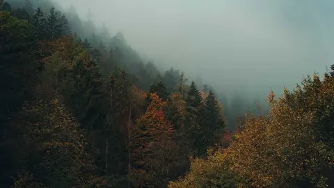 Lluvia, niebla, monta&ntilde;a
