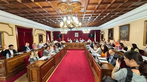 El pleno aprob&oacute; la propuesta por unanimidad