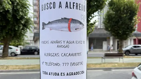 cartel pez