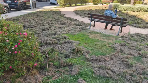 destrozos jabal&iacute;s