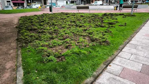 Os xabar&iacute;ns destrozan o xard&iacute;n da Fonte dos Ranchos (foto 1)