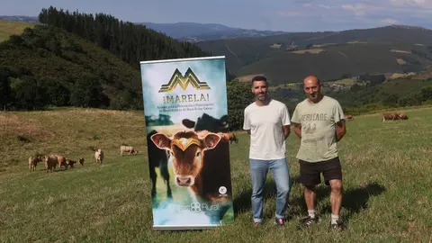 marela