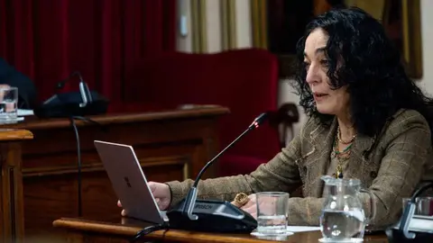 ana gonzalez abelleira psoe lugo