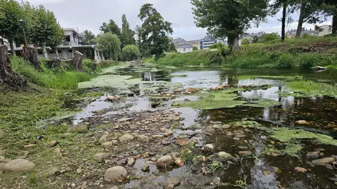 R&iacute;o Sarria