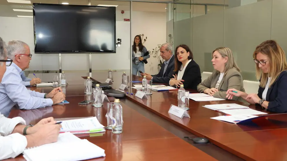 200426 Reuni&oacute;n Emerxencias