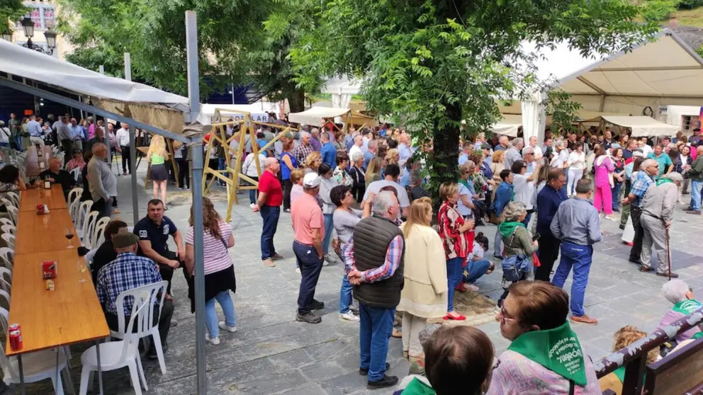 Fiesta del Vino de Ibias