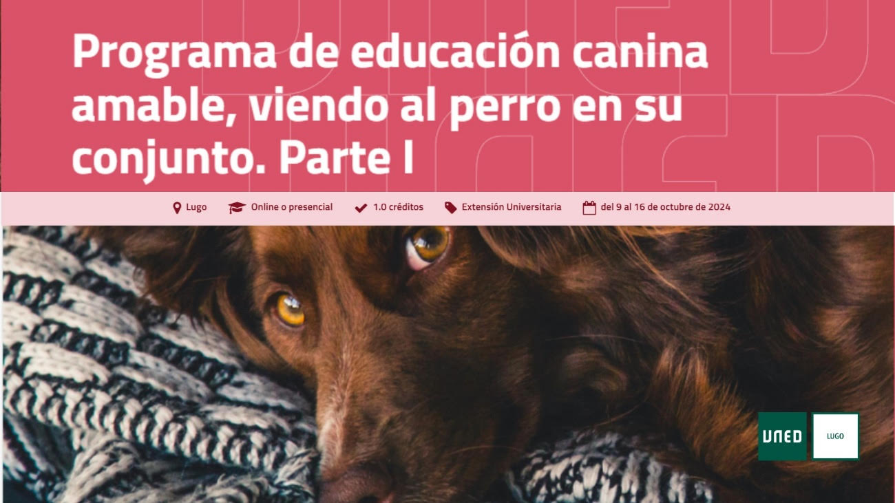 Curso sobre educación canina