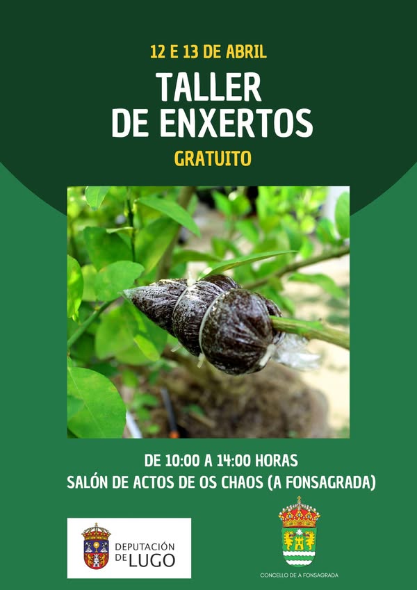 Taller de injertos
