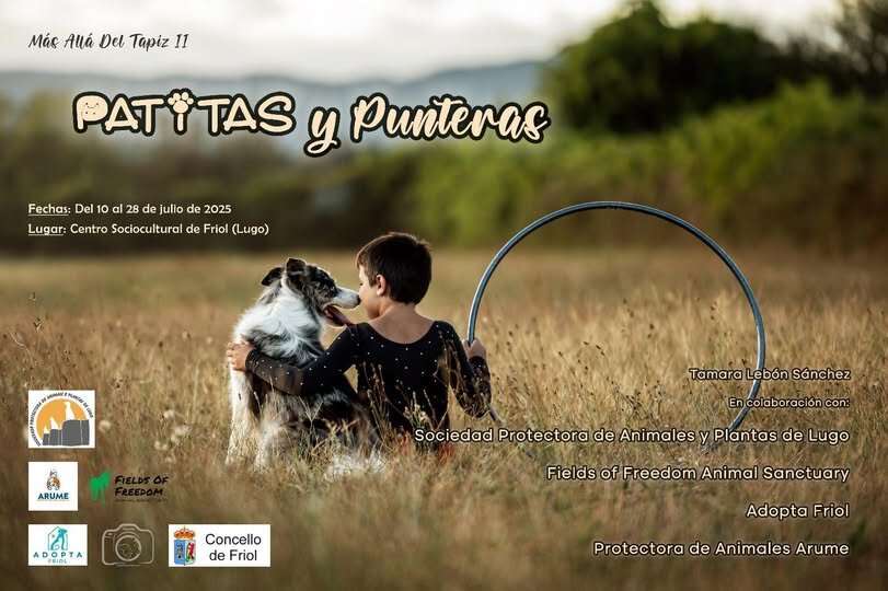 Patitas y punteras
